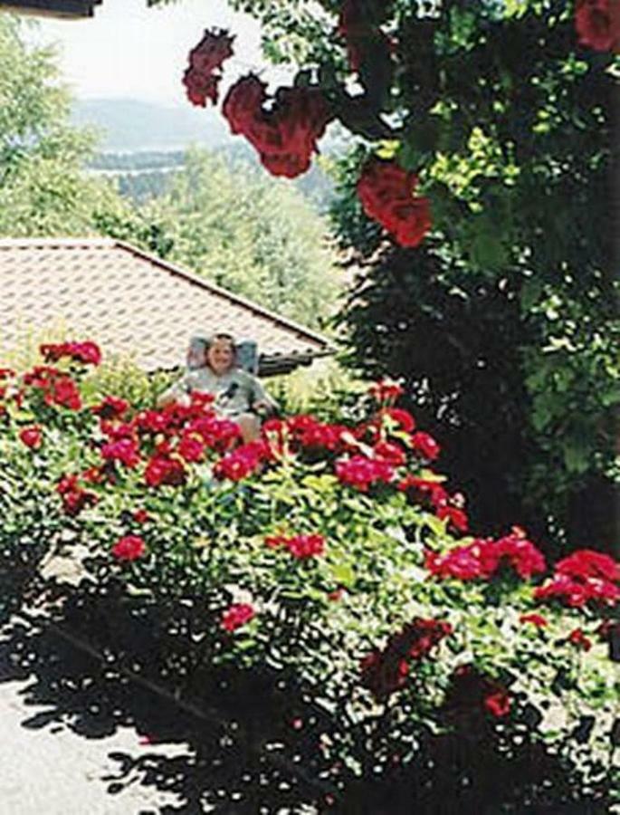 Apartmán Haus Bergblick Bay. Wald Prackenbach Exteriér fotografie