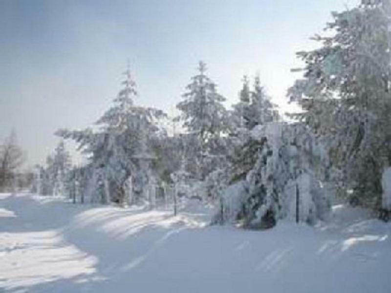 Apartmán Haus Bergblick Bay. Wald Prackenbach Exteriér fotografie