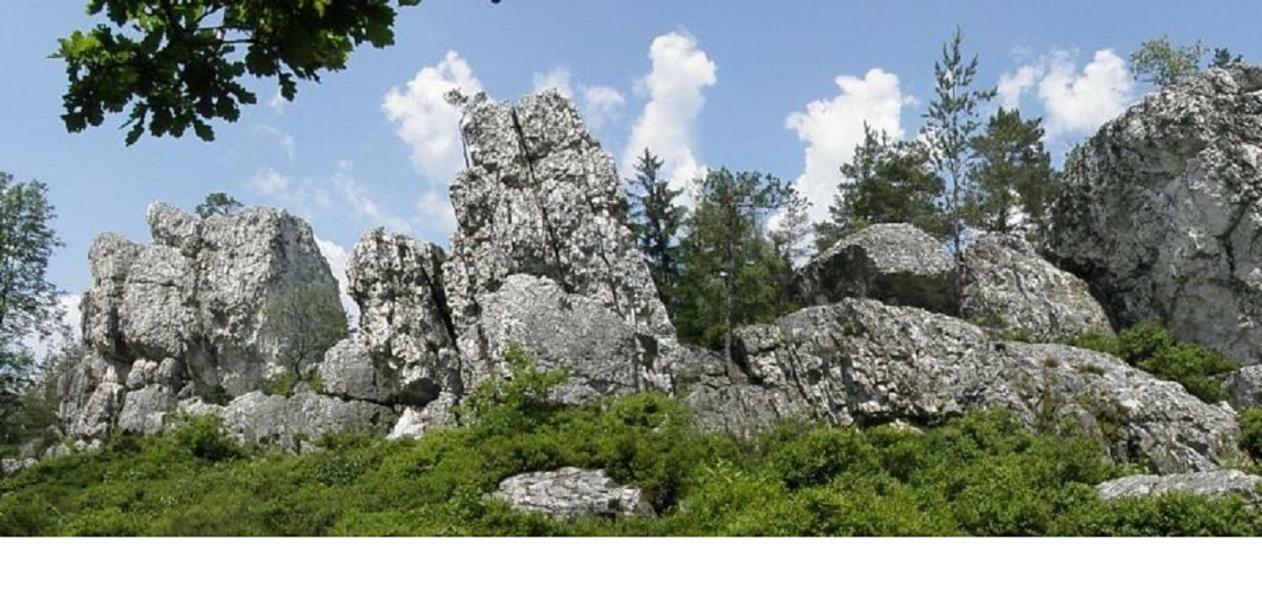 Apartmán Haus Bergblick Bay. Wald Prackenbach Exteriér fotografie